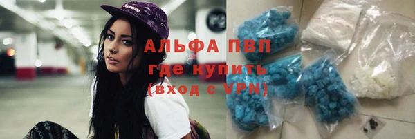 индика Белокуриха