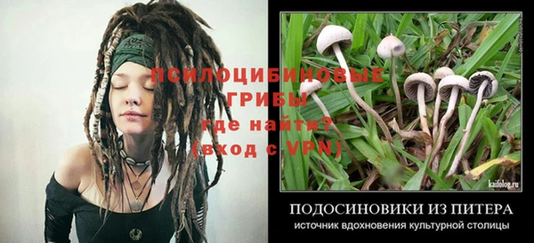 ALPHA PVP Беломорск