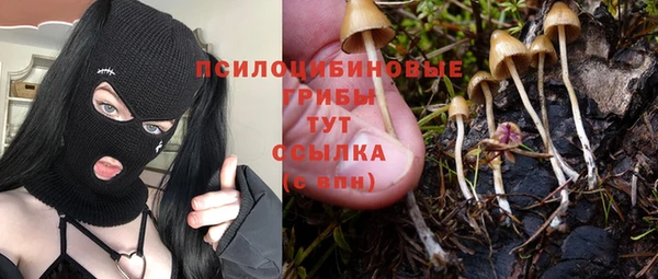ALPHA PVP Беломорск