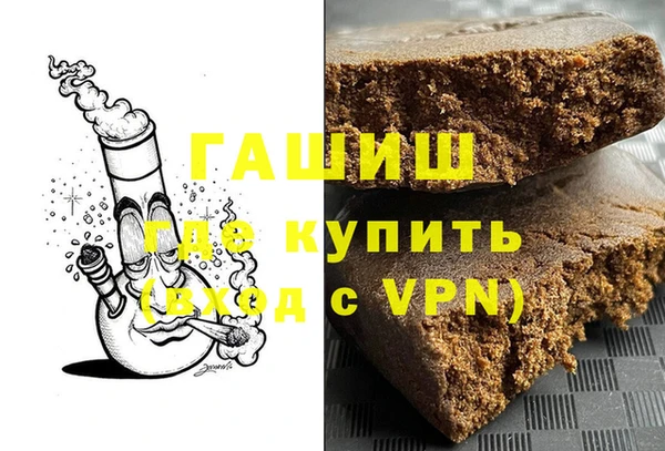 индика Белокуриха