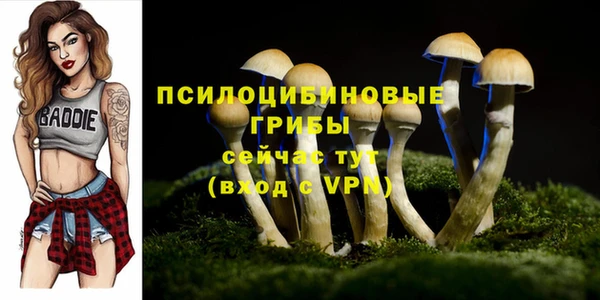 альфа пвп Богородицк