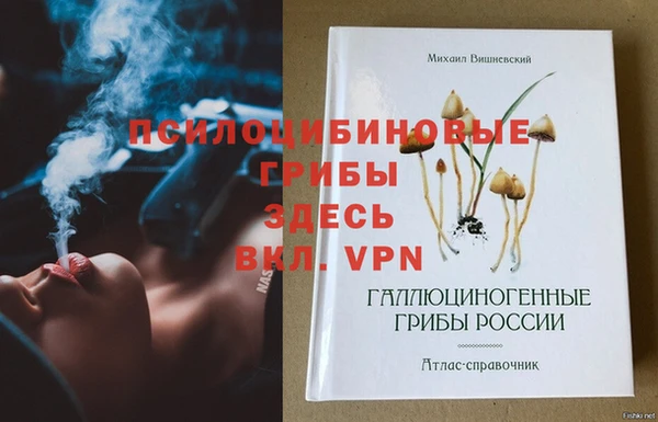 индика Белокуриха