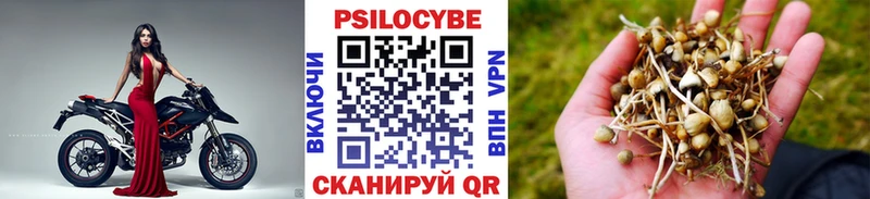 наркота  Богородск  Галлюциногенные грибы ЛСД 